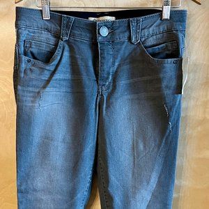 Democracy Women's Ab Solution Ankle Skimmer - Gray Sz 10 NWT